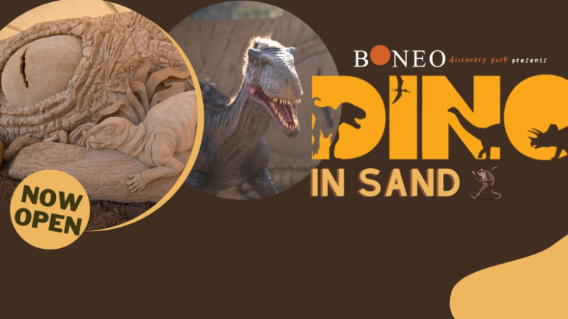 Dino in Sand Family (2A + 2C)