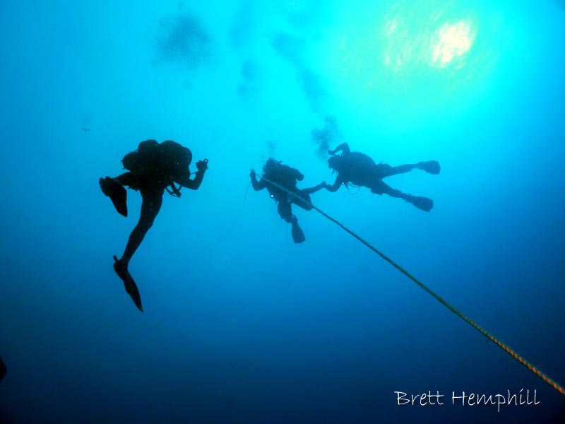 SDI Deep Diver (1 Days)
