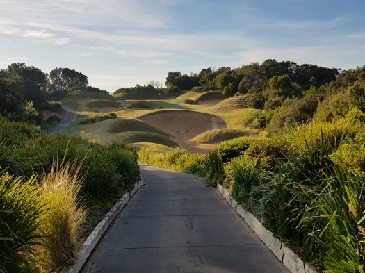 Golf for four: 18 holes of Golf at Eagle Ridge