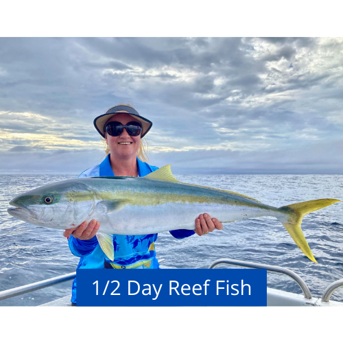 1/2 Day Morning Reef Fish