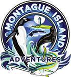 Montague Island Adventures & Charter Fish Narooma