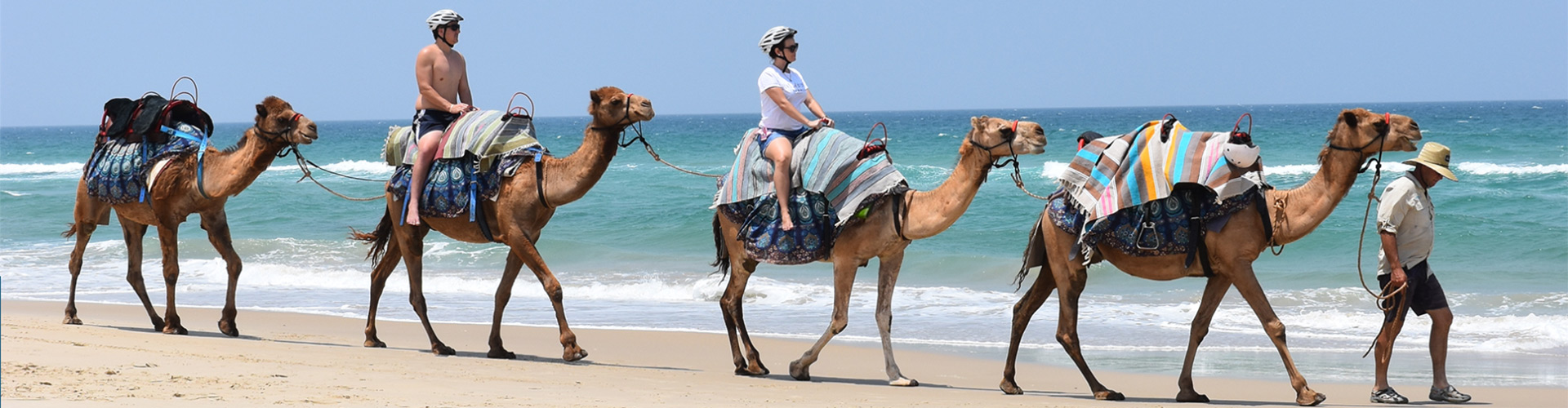 Noosa Camel Rides header