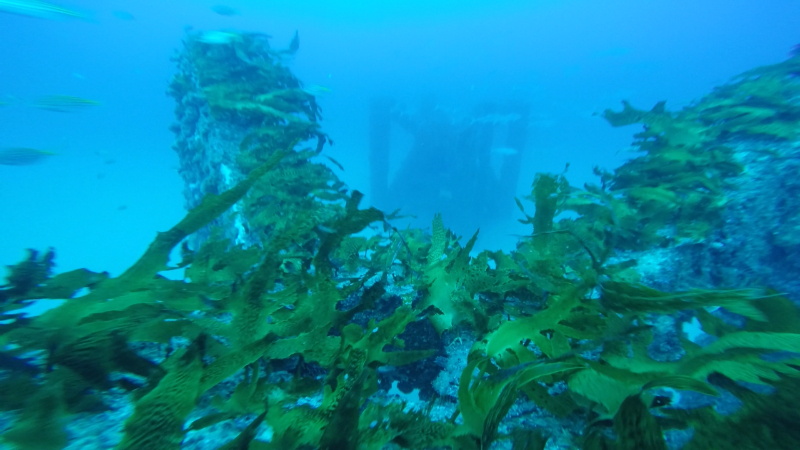 Artificial Reef Structure - Port Phillip Bay (28m)
