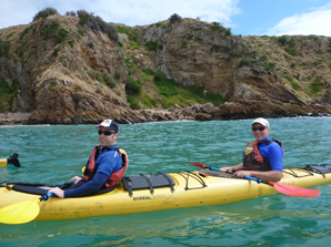 Full Day Sea Kayak Tour - Point Nepean Dolphin Sanctuary or Phillip Island