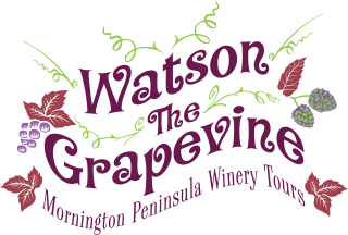 Watson The Grapevine